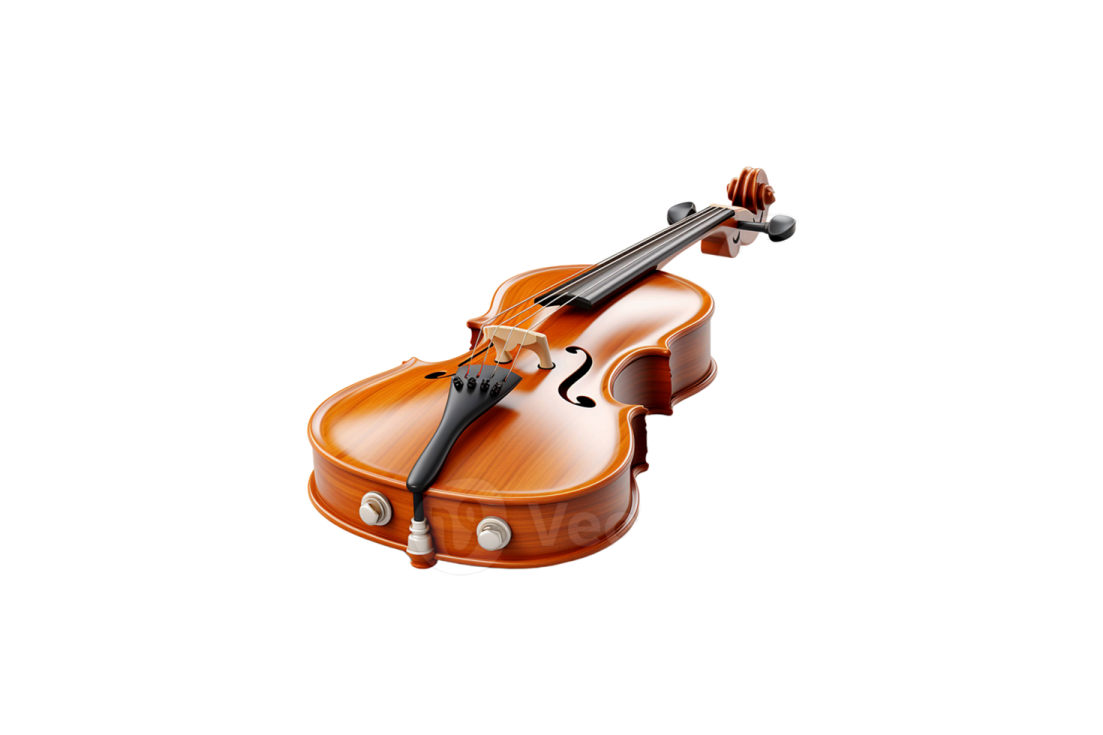 a violin on a white background