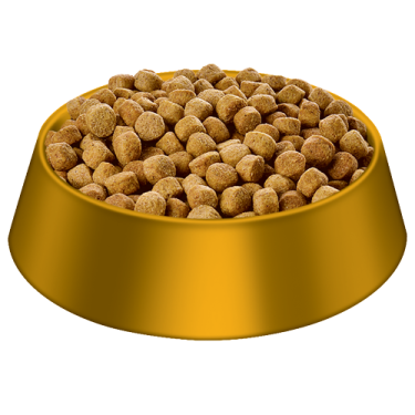 a gold bowl filled with peanuts