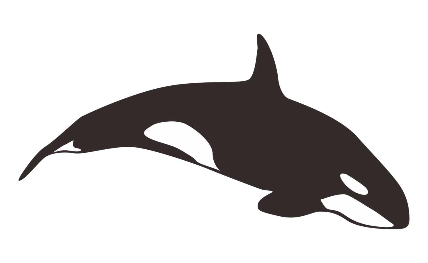 a black and white silhouette of an orca