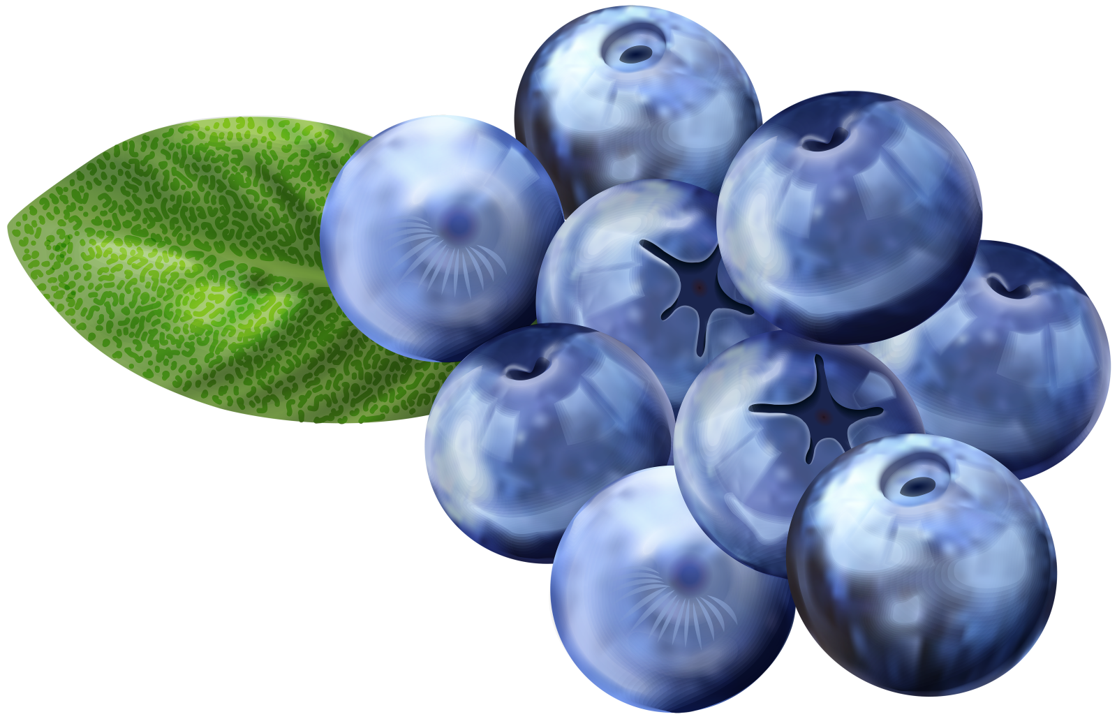 a bunch of blueberries with green leaves