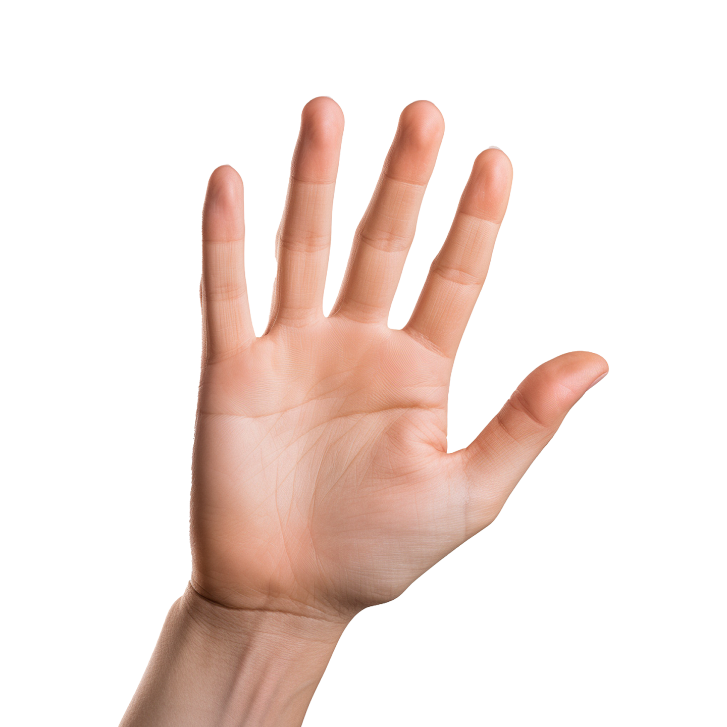 a person is holding their hand up in the air