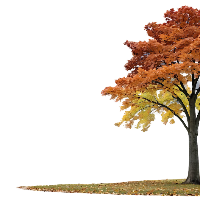 a tree with fall leaves on it