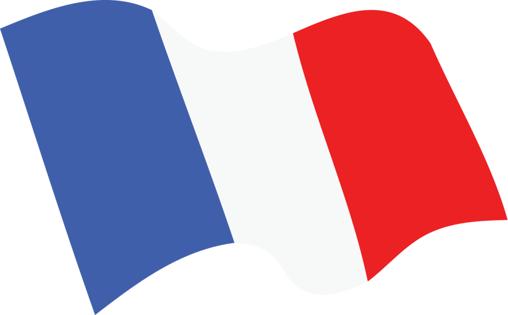 the french flag
