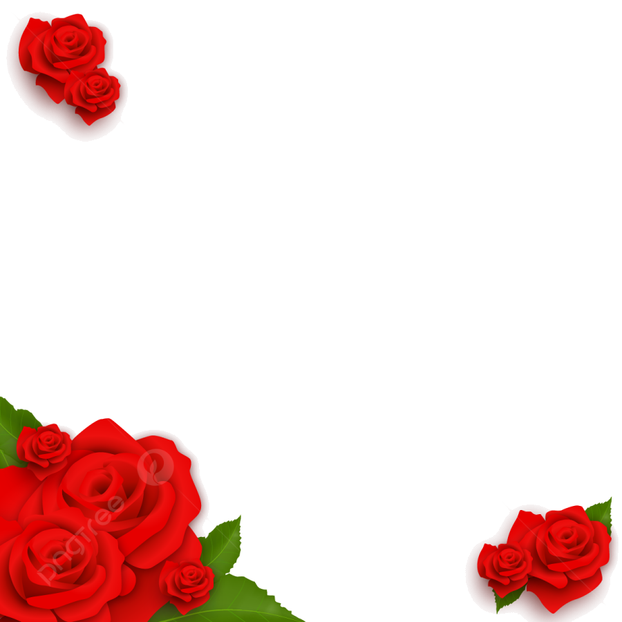 a white background with red roses and leaves