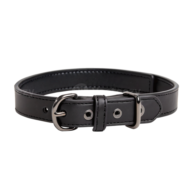 a black leather dog collar with a metal buckle