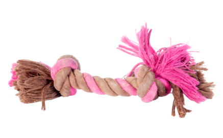 a pink and brown dog toy on a white background