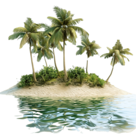 a small island with palm trees on it