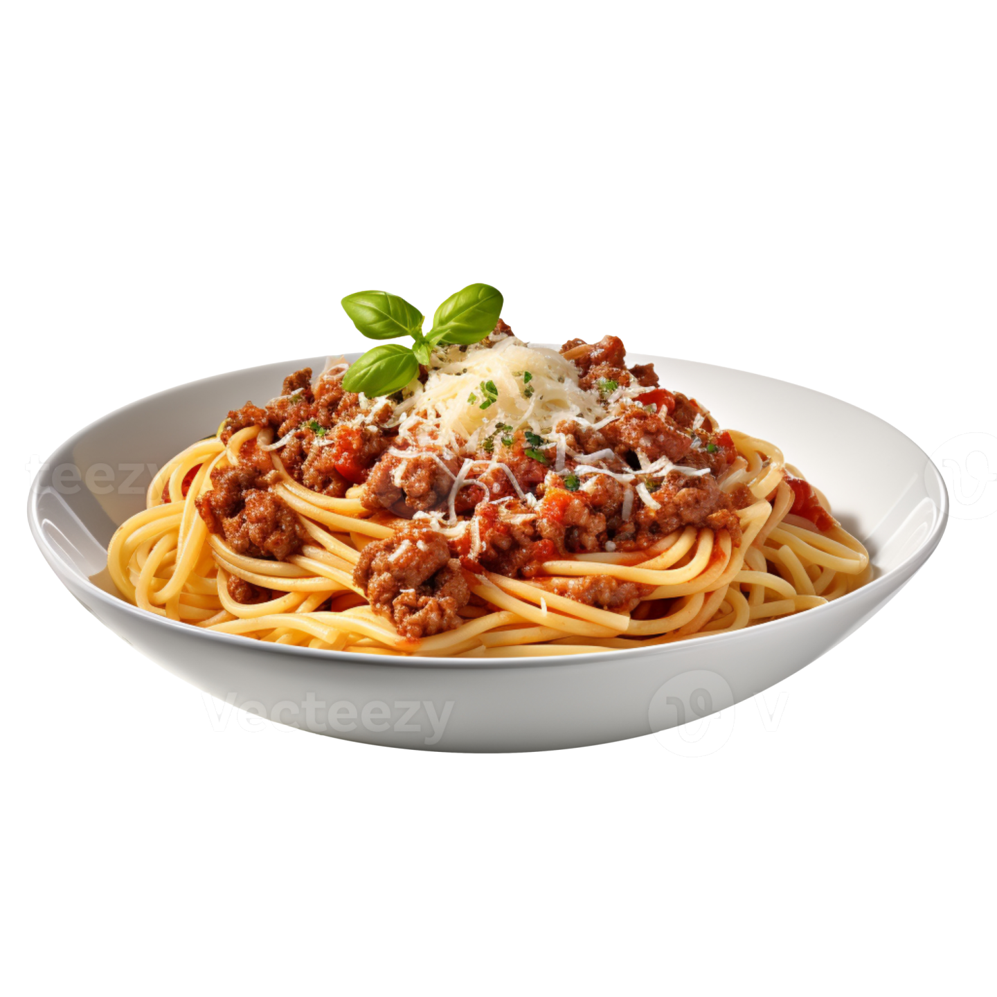 a plate of spaghetti with meat and sauce
