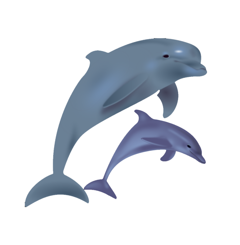 a pair of dolphins