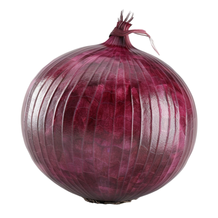 a red onion on a white background