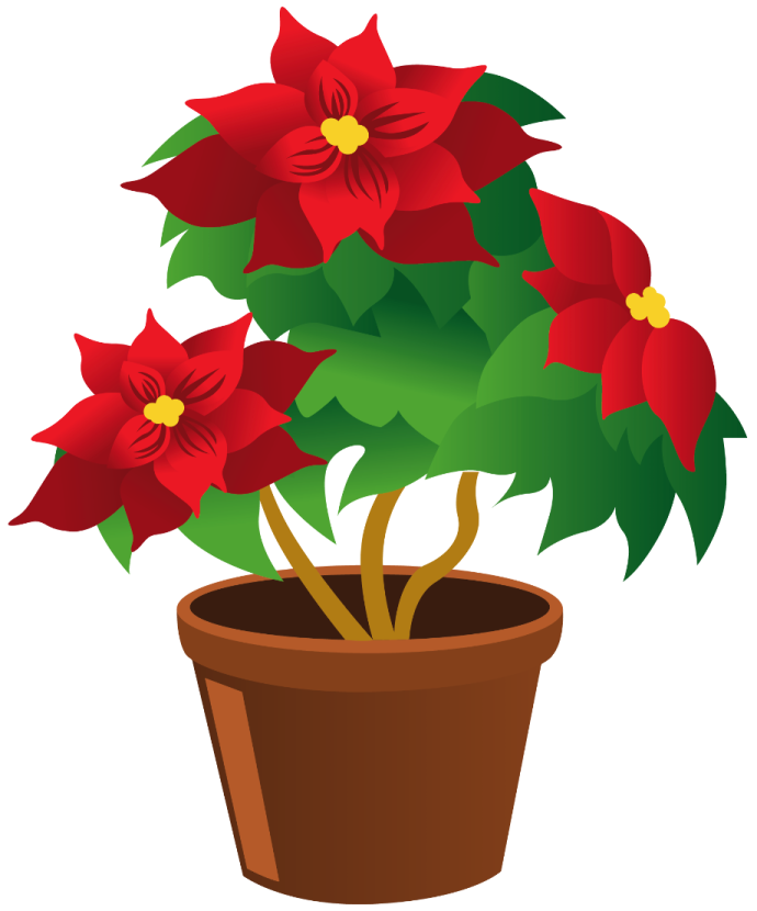 a pot with red flowers in it