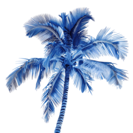a blue palm tree on a white background