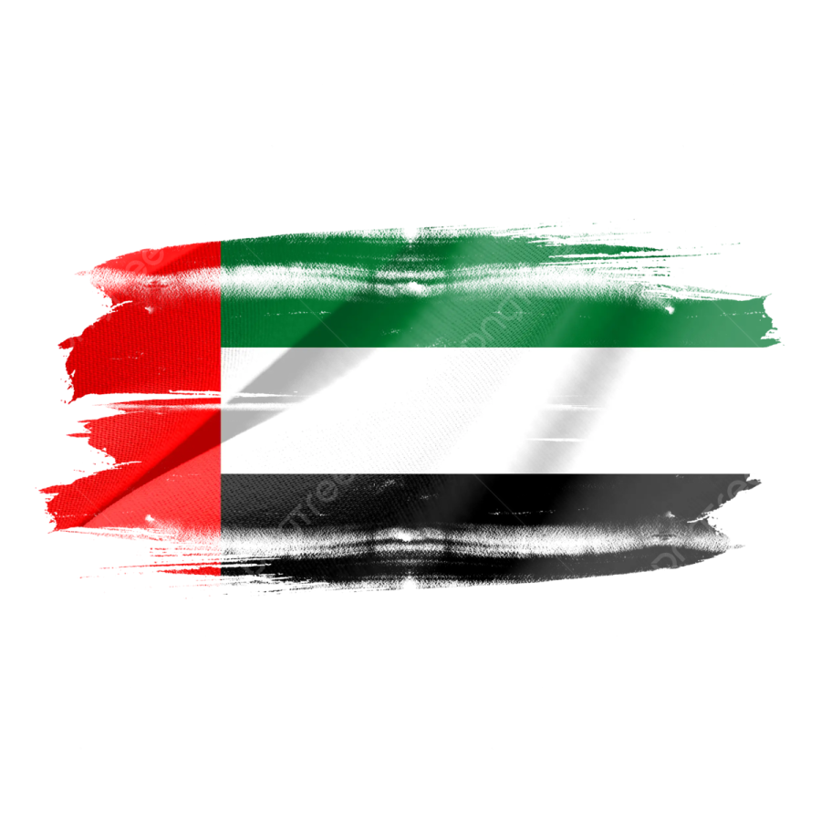 the flag of the united