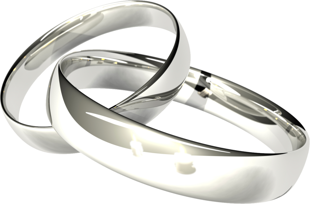 a pair of wedding rings