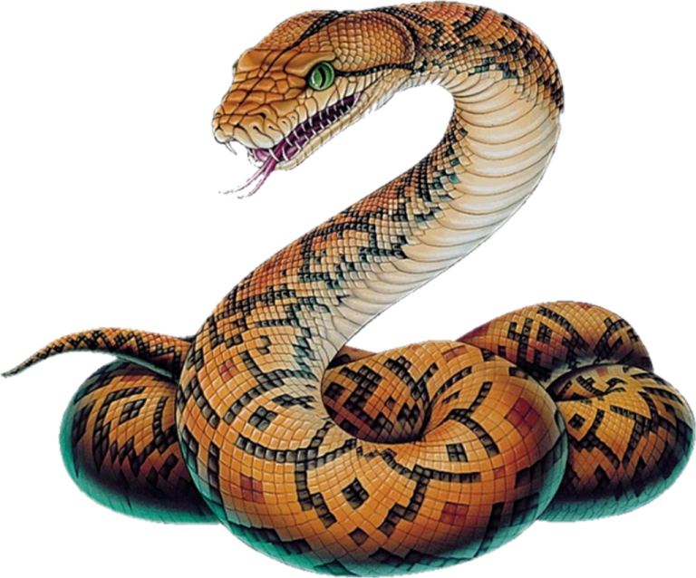 a snake with its mouth open