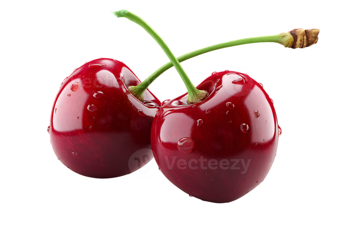 two cheres on a white background