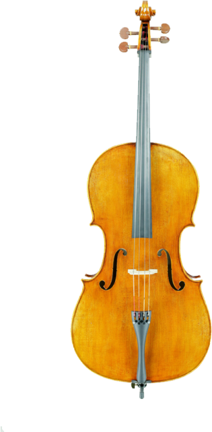 a violin on a white background