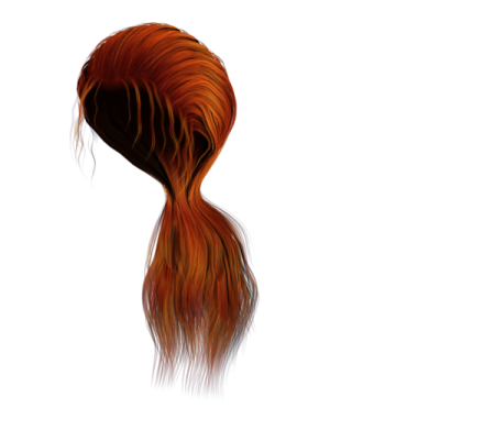 a drawing of a woman's hair