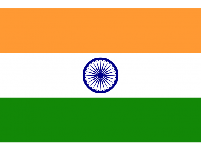 the indian flag