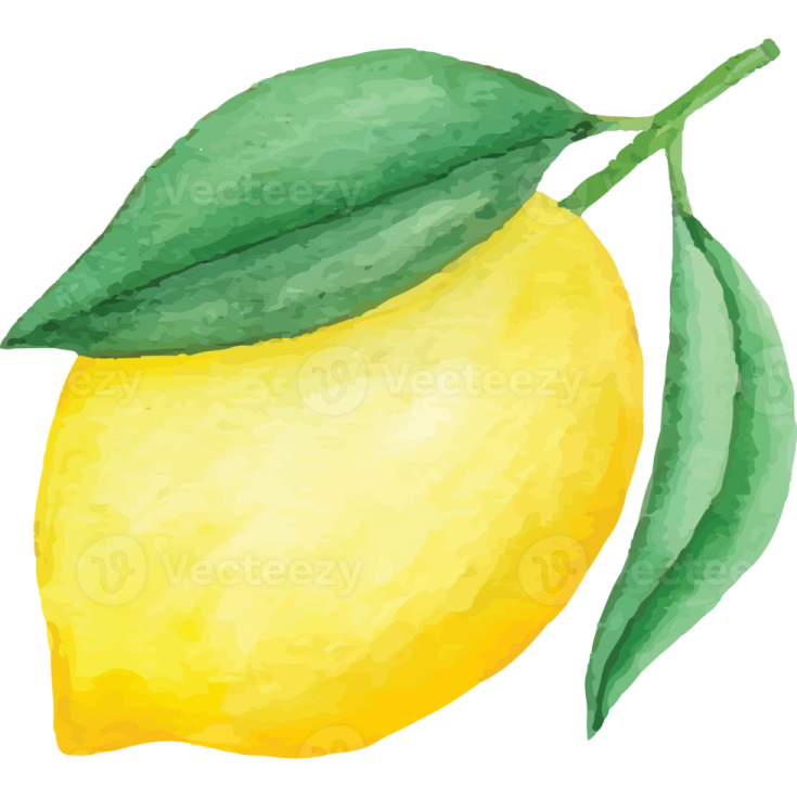 a lemon with green leaves on it