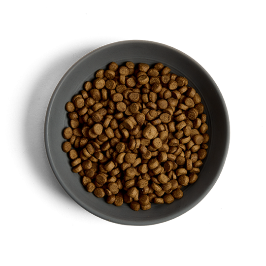 a black bowl filled with coffee beans