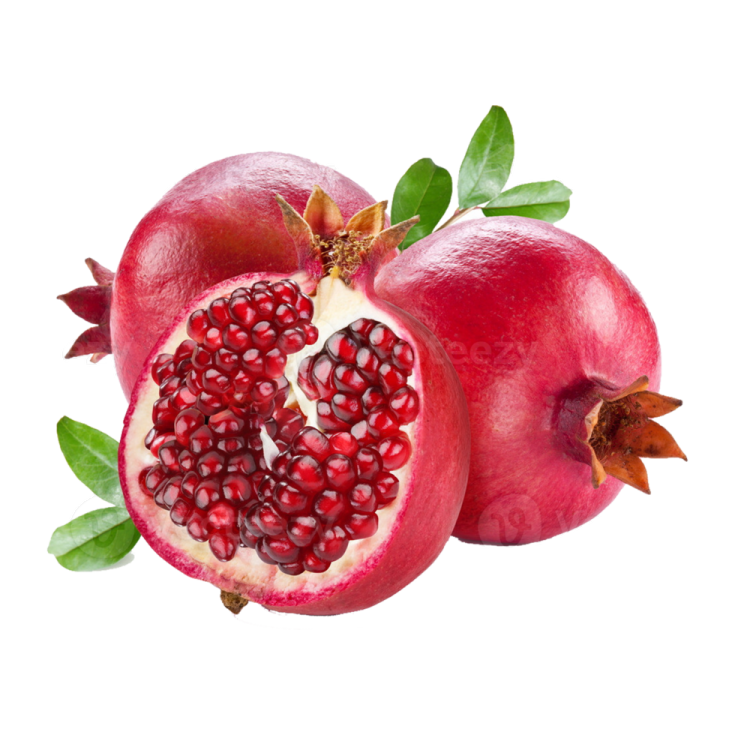 two pomeas on a white background