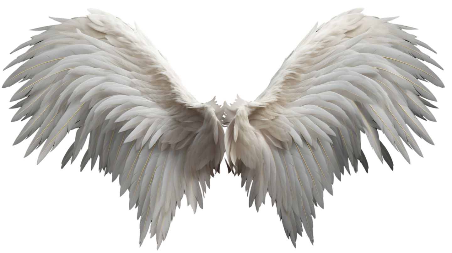 a pair of white wings