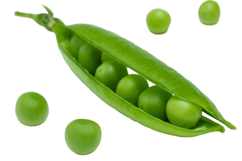 peas on a white background