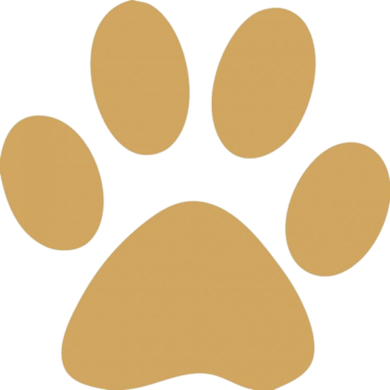 a brown paw print on a white background