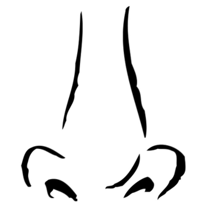 a black and white drawing of a nose