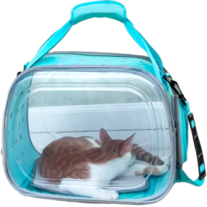 a cat laying inside of a clear bag