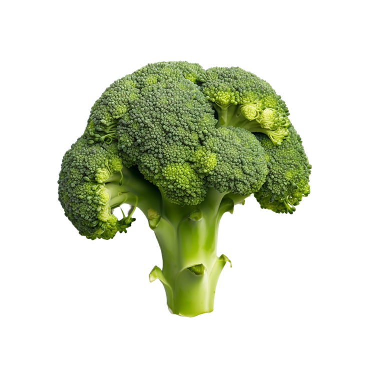 a close up of a piece of broccote