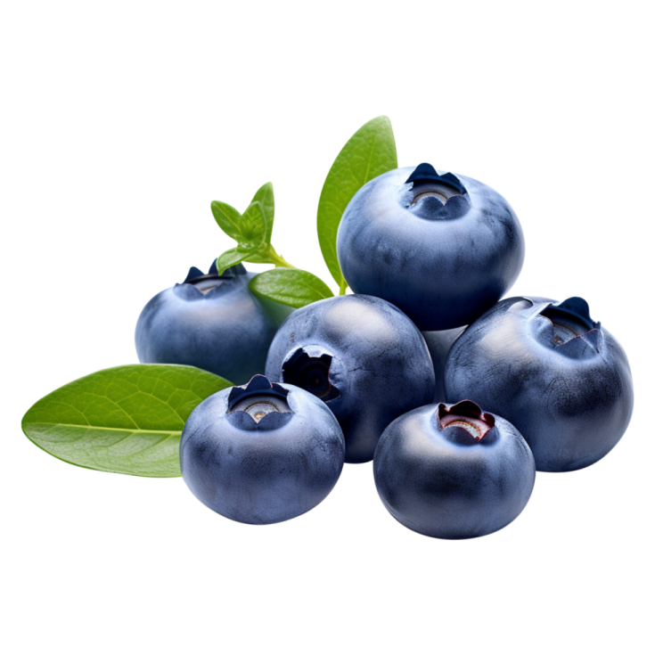 a bunch of blueberries with green leaves