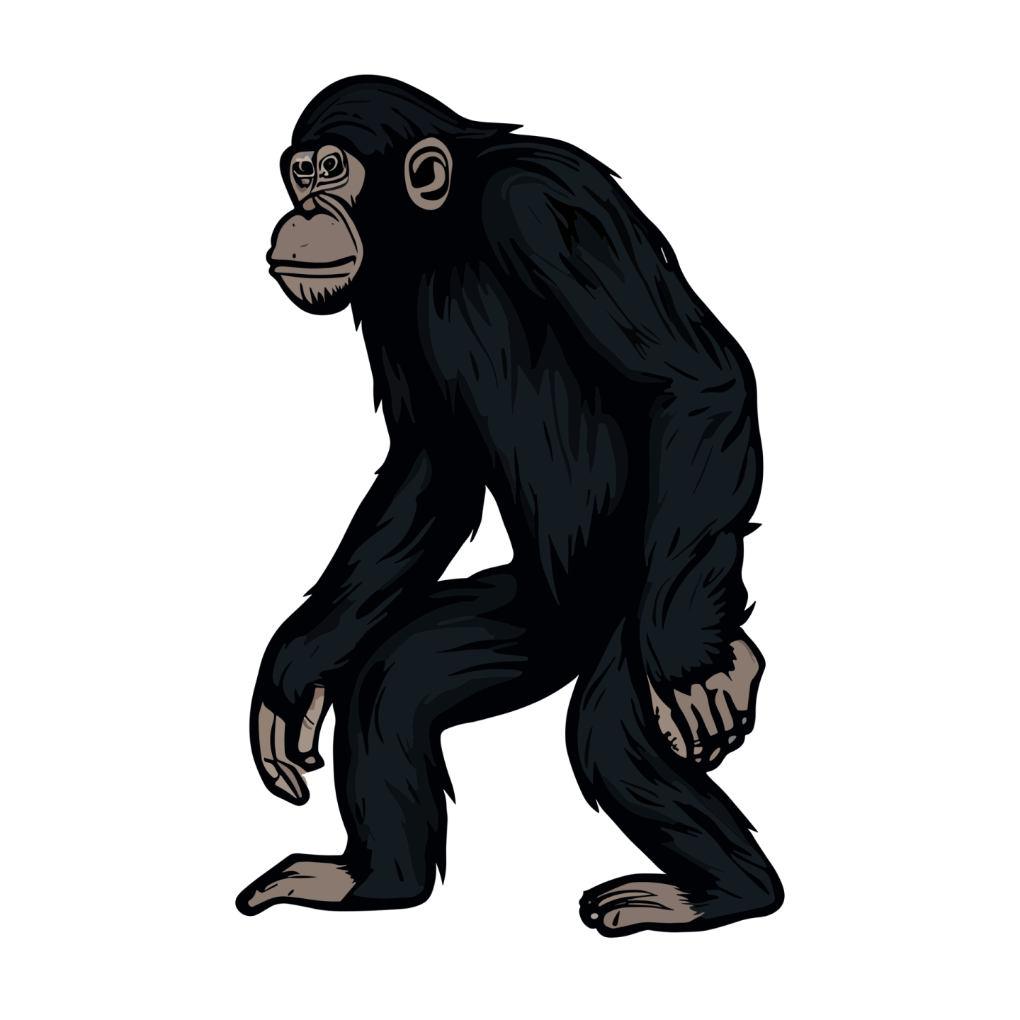 a gorilla standing on one leg