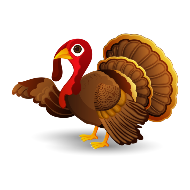 a turkey is standing on its hinds