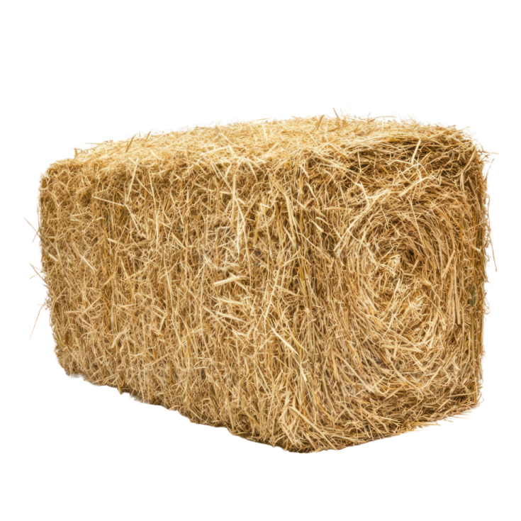 a roll of hay on a white background