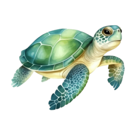 a green sea turtle on a white background