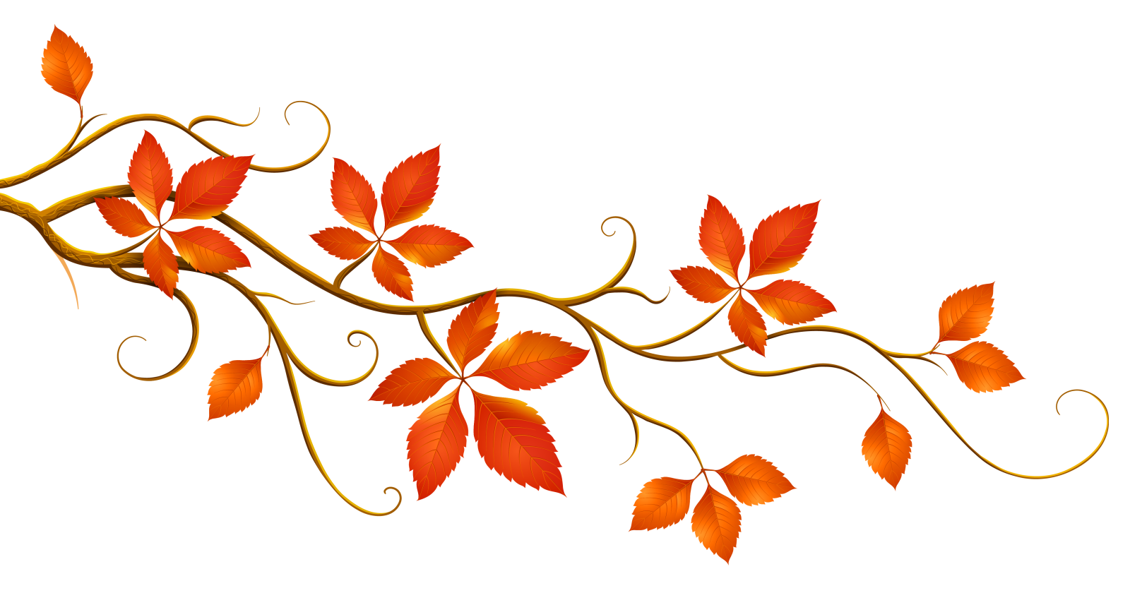 a branch with orange leaves on it