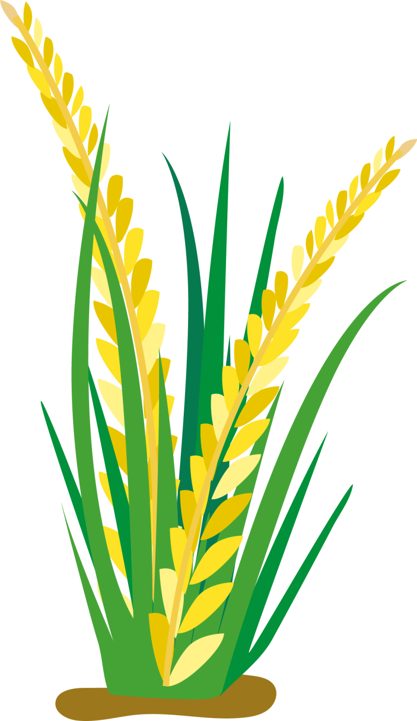 a green plant with yellow leaves