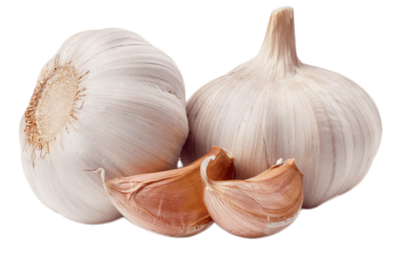 two garlic bulbs on a white background