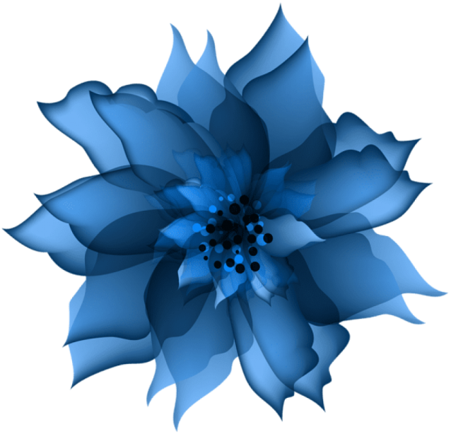 a blue flower on a white background