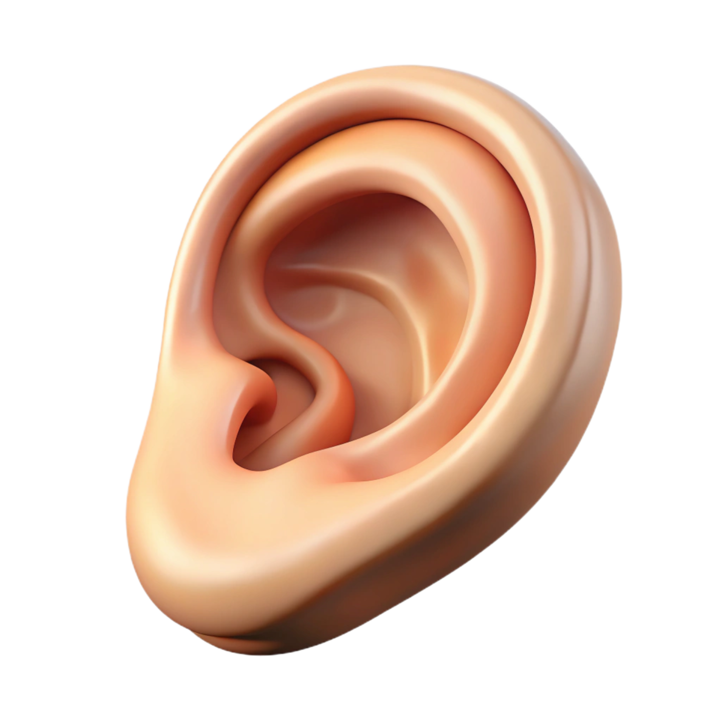 a close up view of the inside of an ear