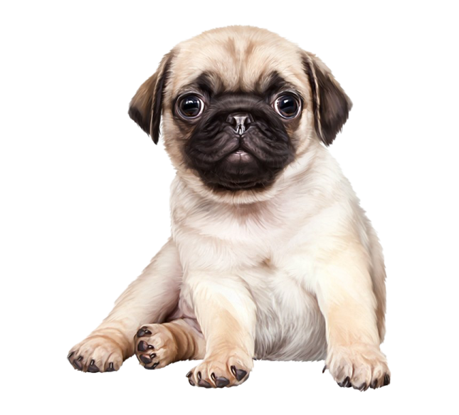 a small dog with big eyes laying down