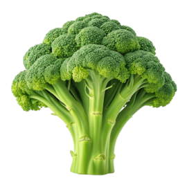 a close up of a piece of broccole