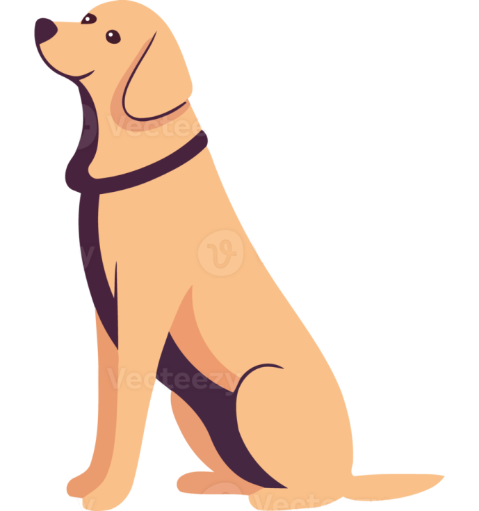 a dog sitting on the ground looking up at something