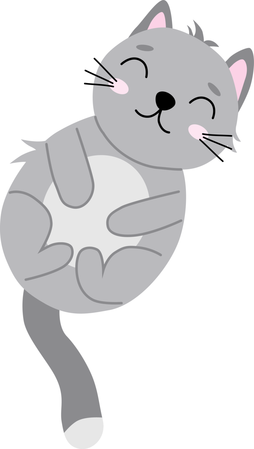 a gray cat sitting on its back