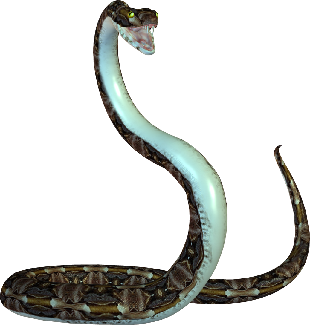 an illustration of a snake with its mouth open