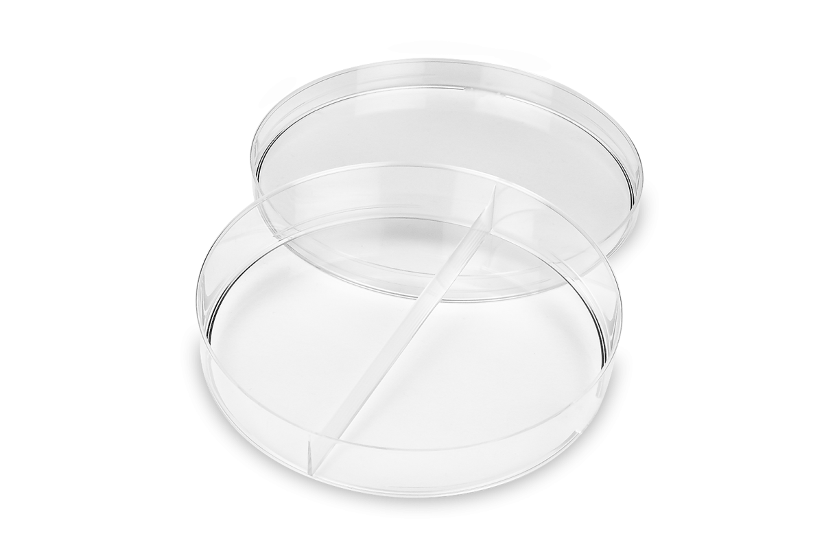 two clear plastic containers with lids on white background