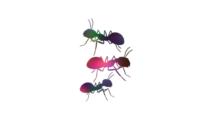 a group of ants standing next to each other ants