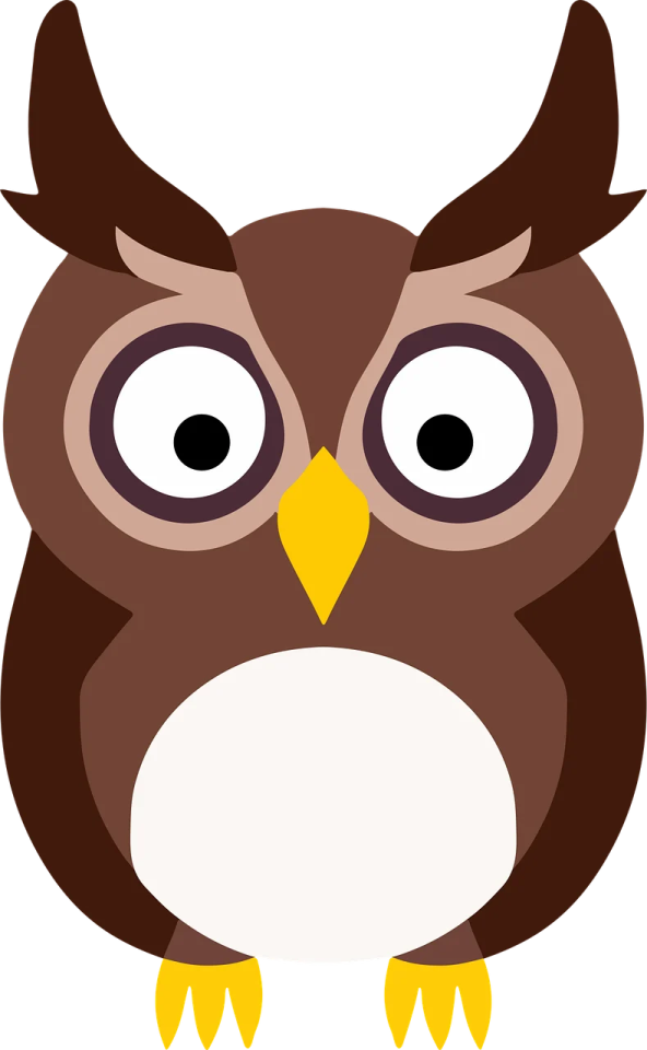 an owl with big eyes